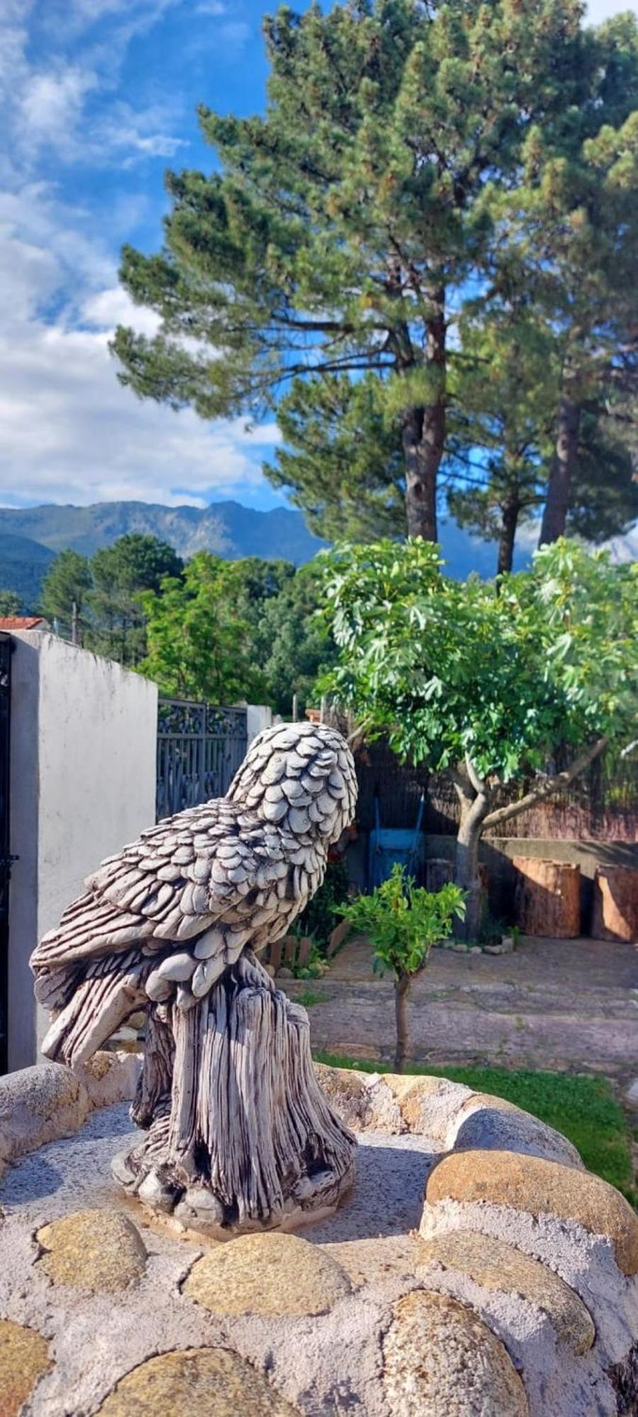 La Lechuza Blanca Villa Casavieja Buitenkant foto